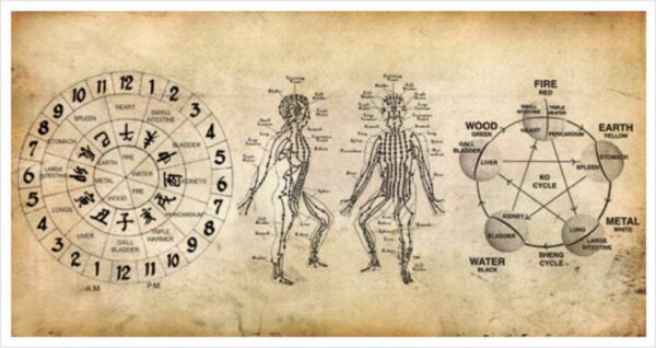 Meridian Qigong form