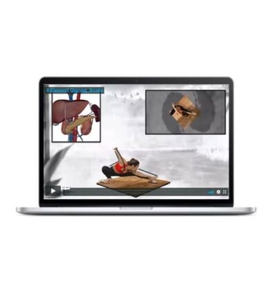 5 Element Qigong Online Course