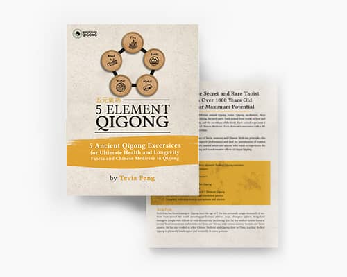 Ebook 5 elements qigong