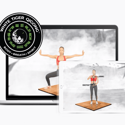 5 Element Qigong Online Course
