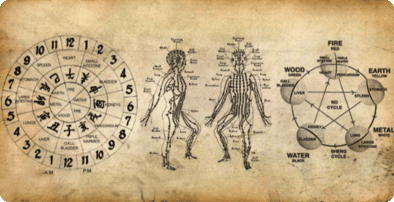 An drawing of the meridians