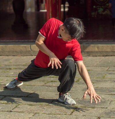 5 animal qigong