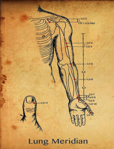 lung meridian