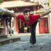 Medical Qigong Teacher Training - 5 Animal Qigong  - LEVEL 1 ONLY - Vietnam