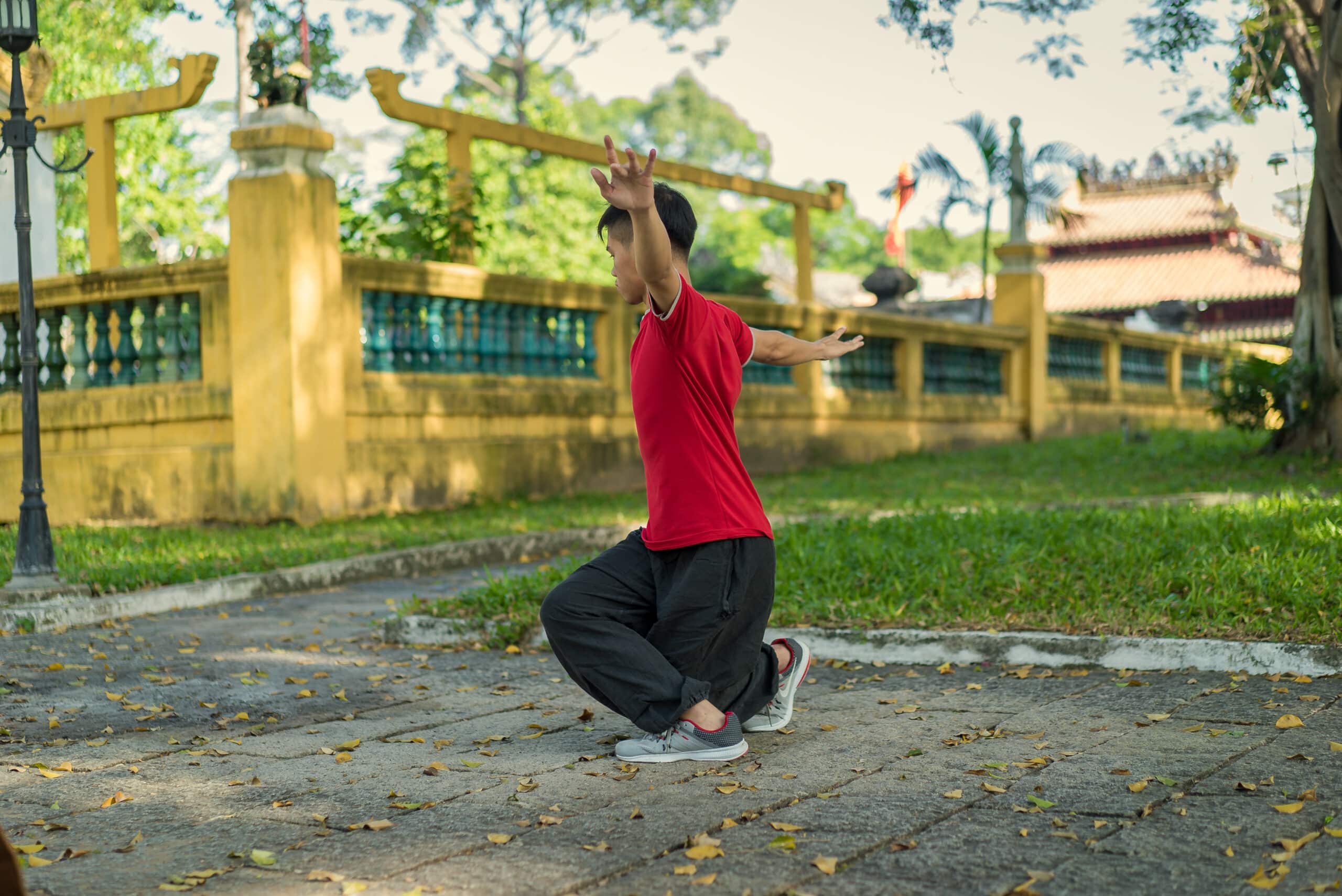 5 Animal Qigong Crane 1