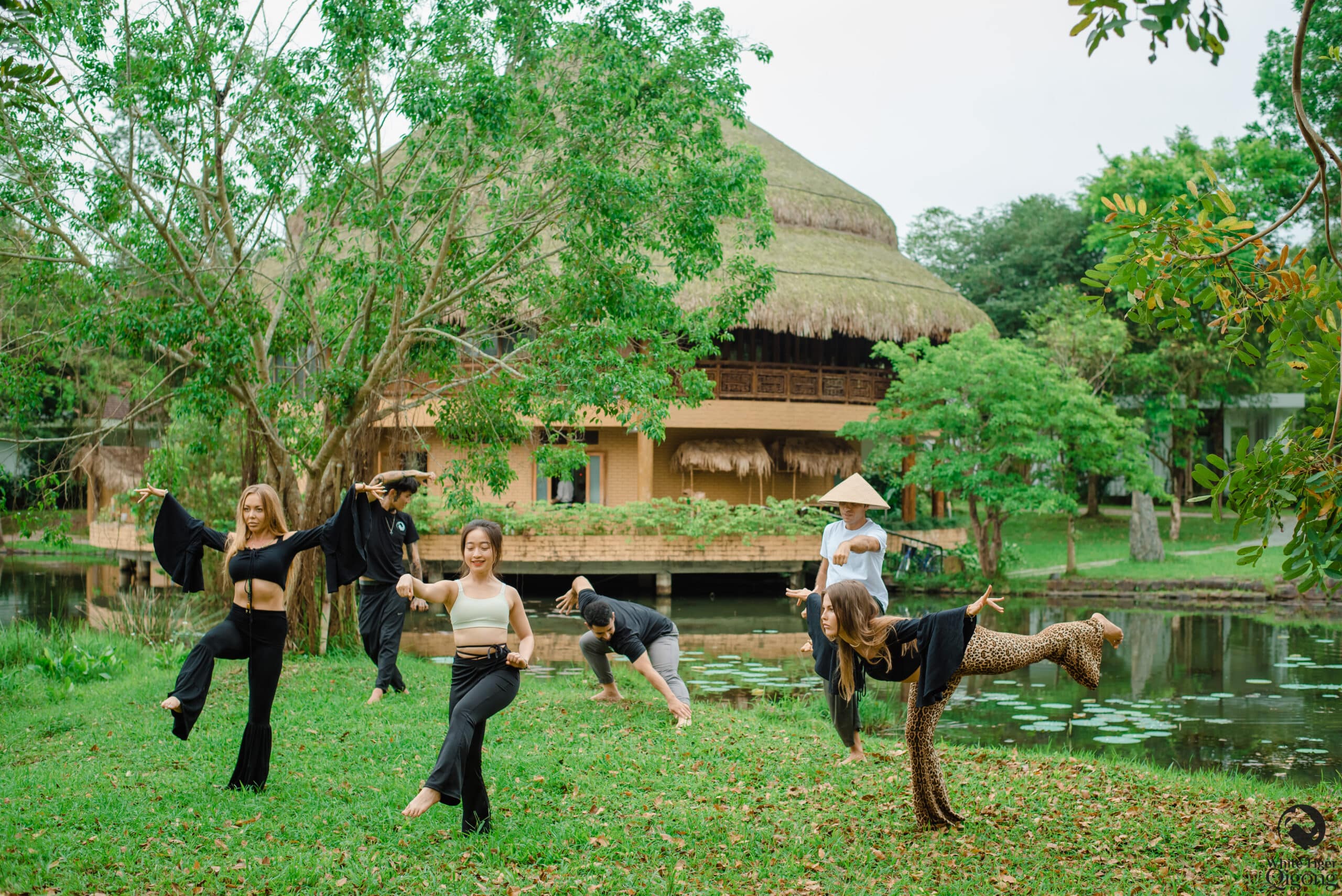 White Tiger Qigong Onlne Classes